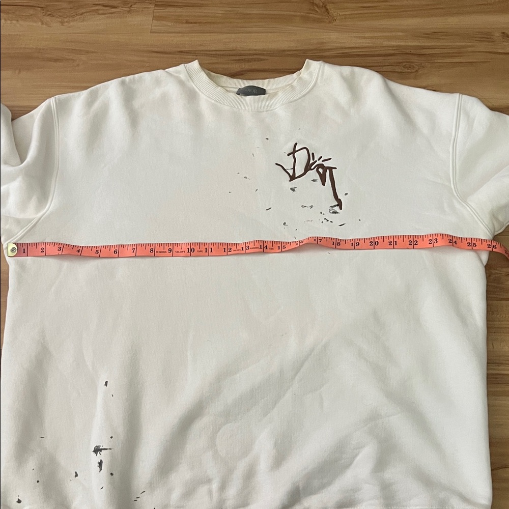 Dior x cactus jack oversized sweatshirt - Picture 14 of 14